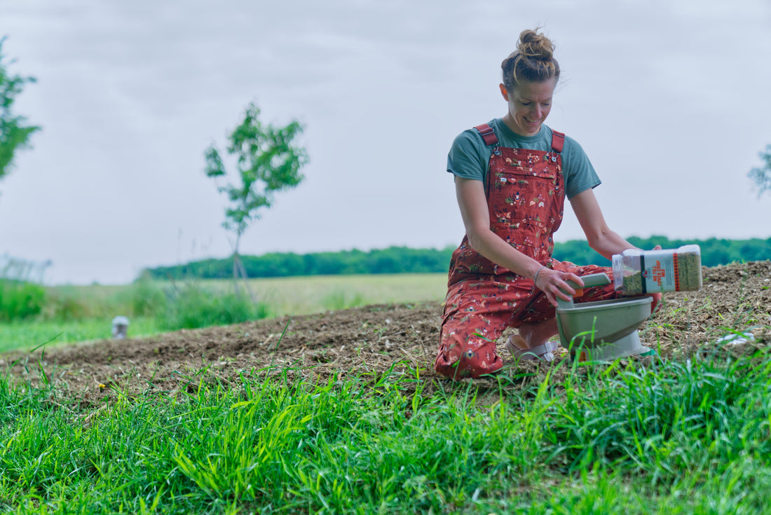 What Makes a Great Cover Crop Mix (And How to Use One)