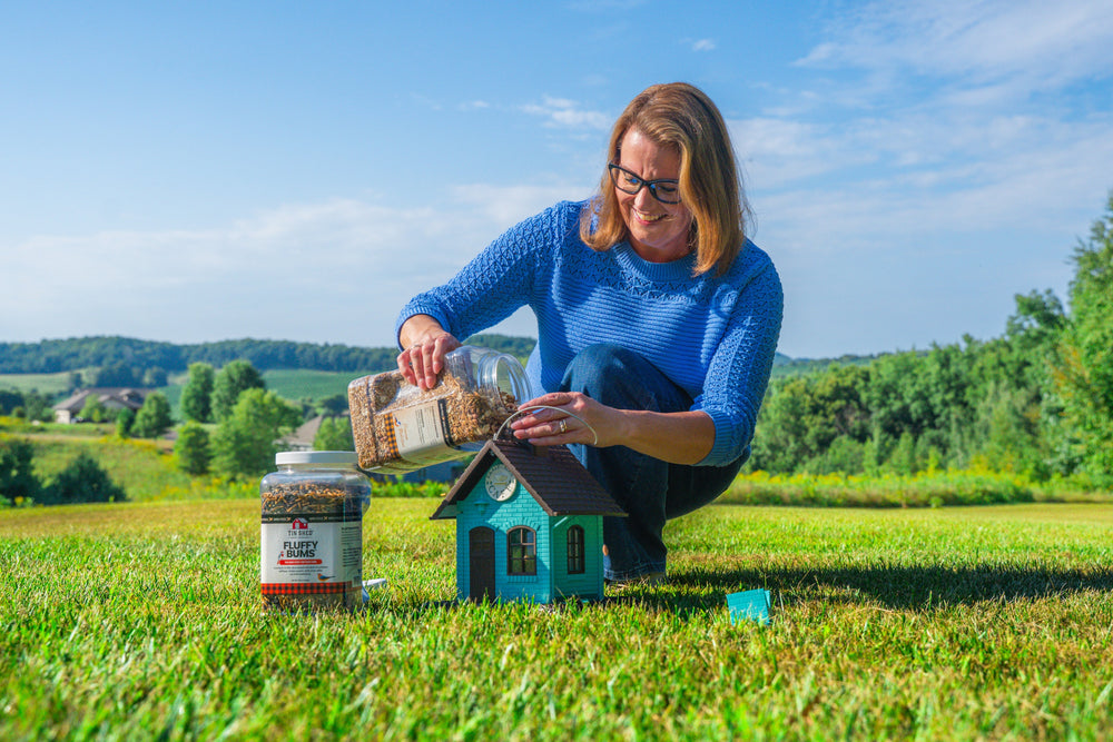 Bird Seed 101