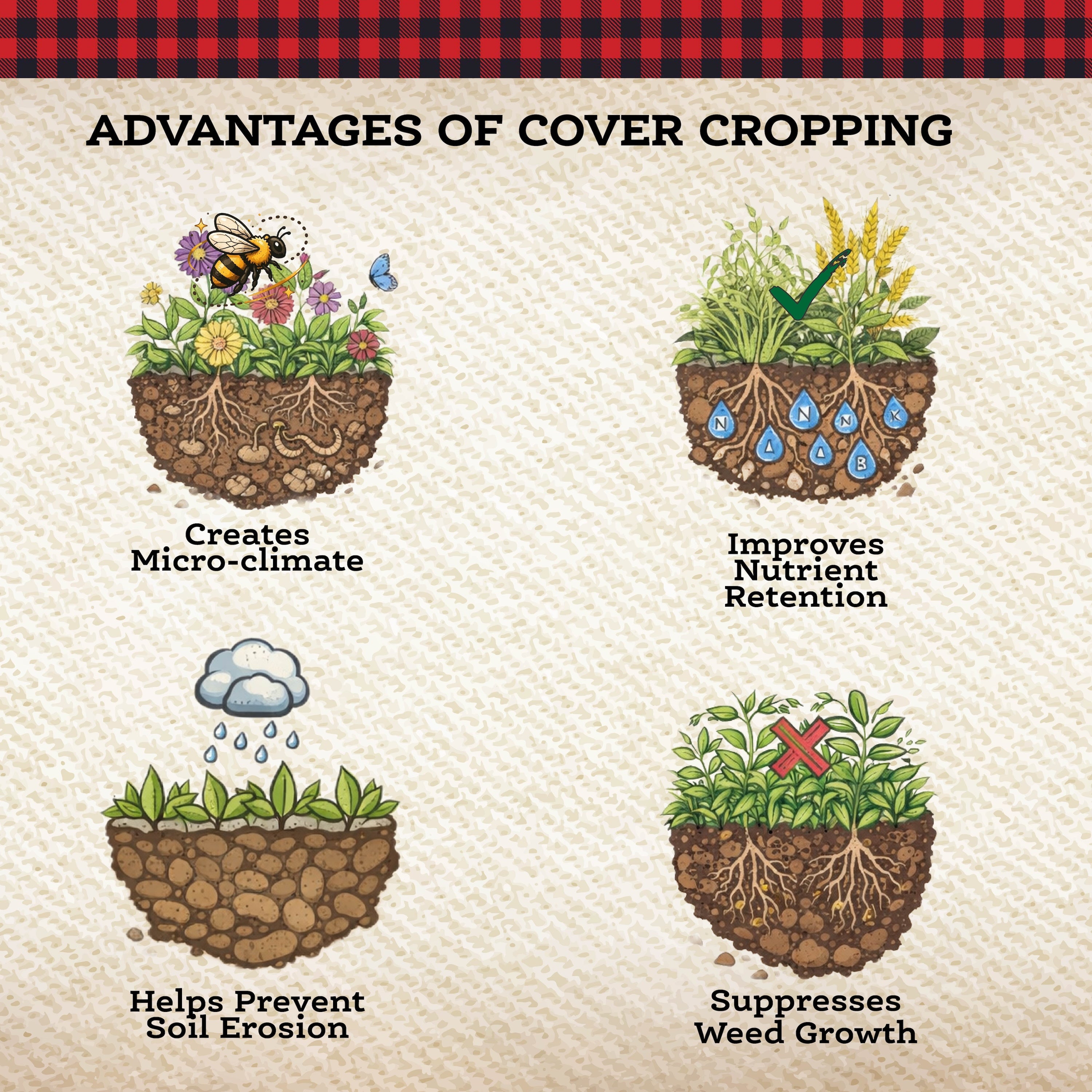 Illustration of cover cropping advantages with plants and soil on a textured background.