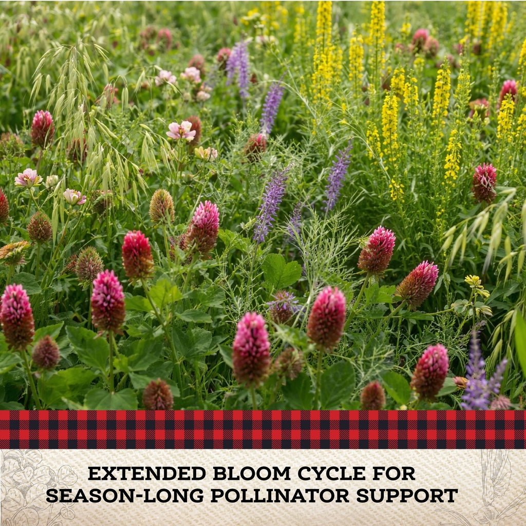 Colorful field of blooming pollinator cover crops including crimson clover, oats, and wildflowers
