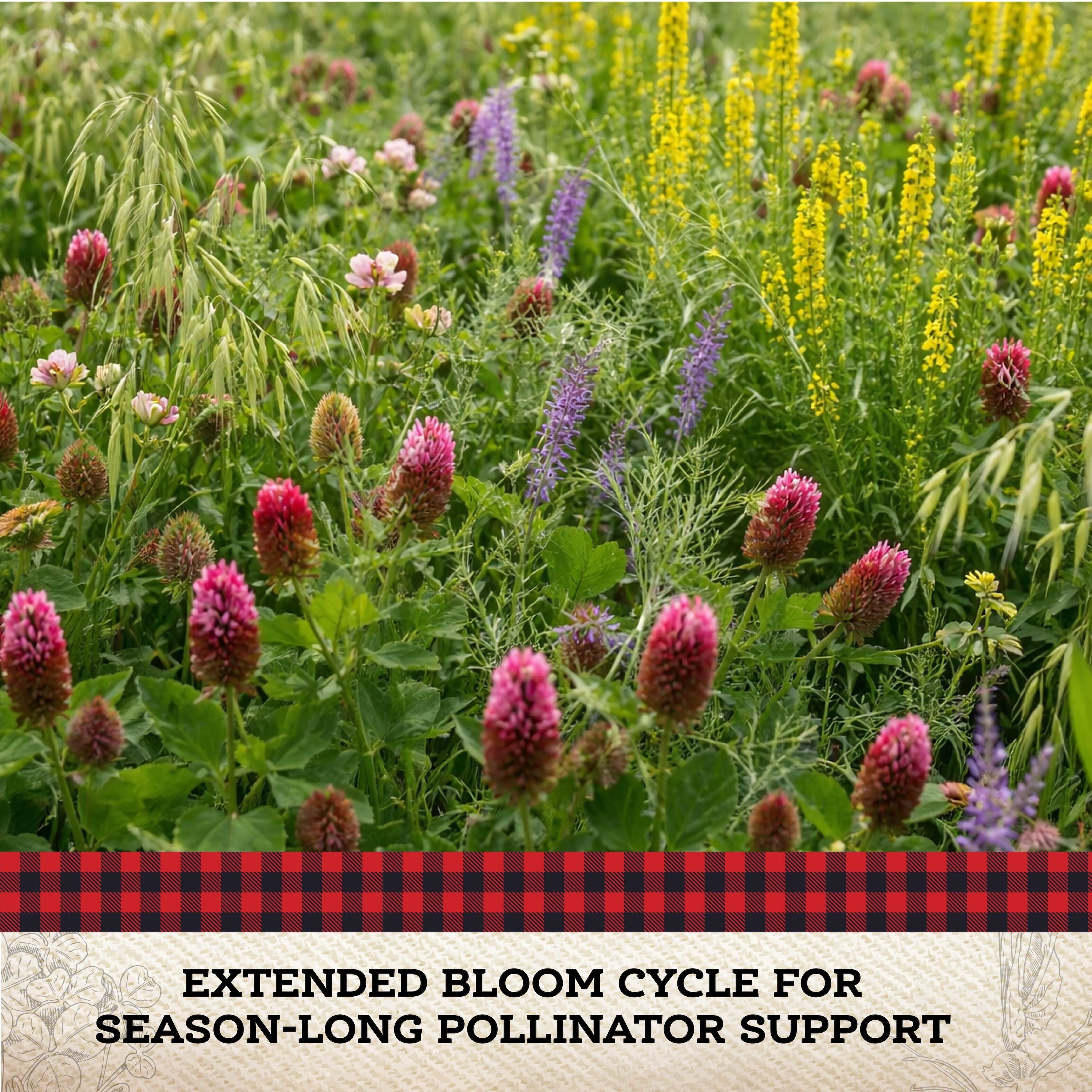 Colorful field of blooming pollinator cover crops including crimson clover, oats, and wildflowers