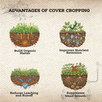 Scavenger Cover Crop Mix