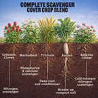 Scavenger Cover Crop Mix