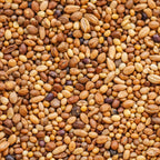 Scavenger Cover Crop Mix