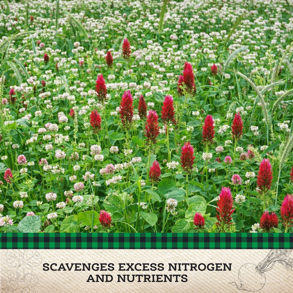 Scavenger Cover Crop Mix