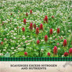 Scavenger Cover Crop Mix