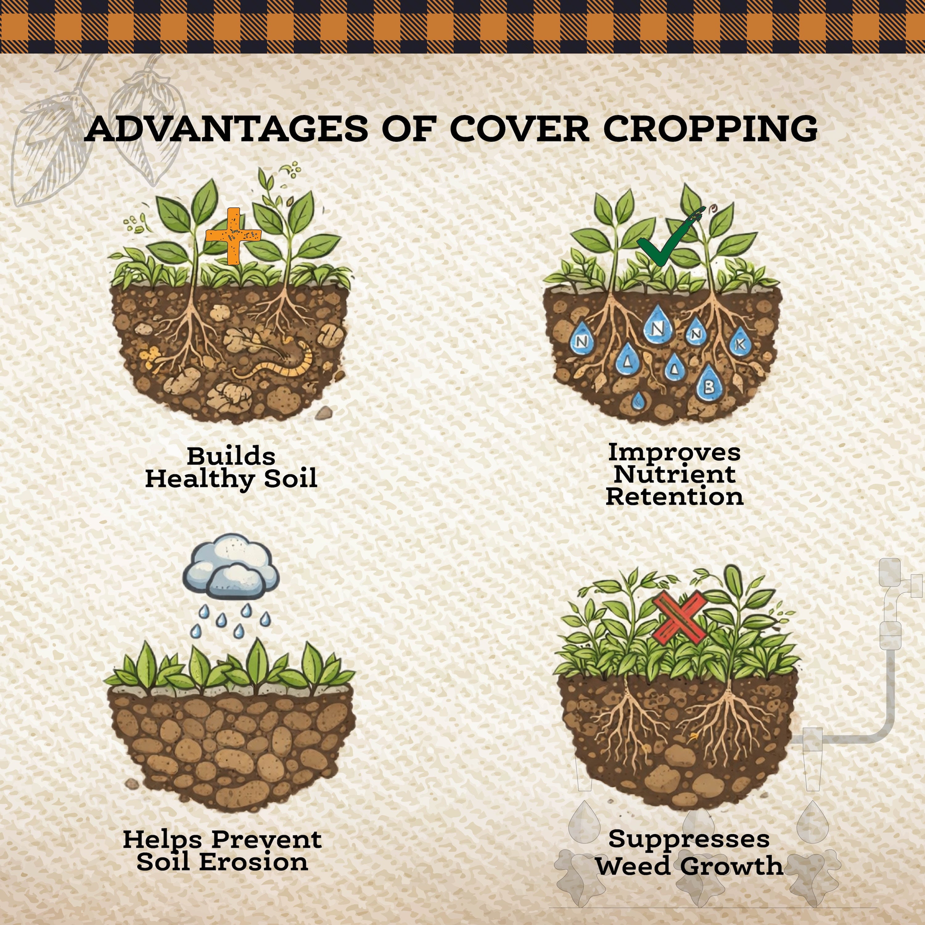 Weed Suppressor Cover Crop Mix – 9 lb. - Covers 9000–12,000 sq ft (0.21–0.28 acres)