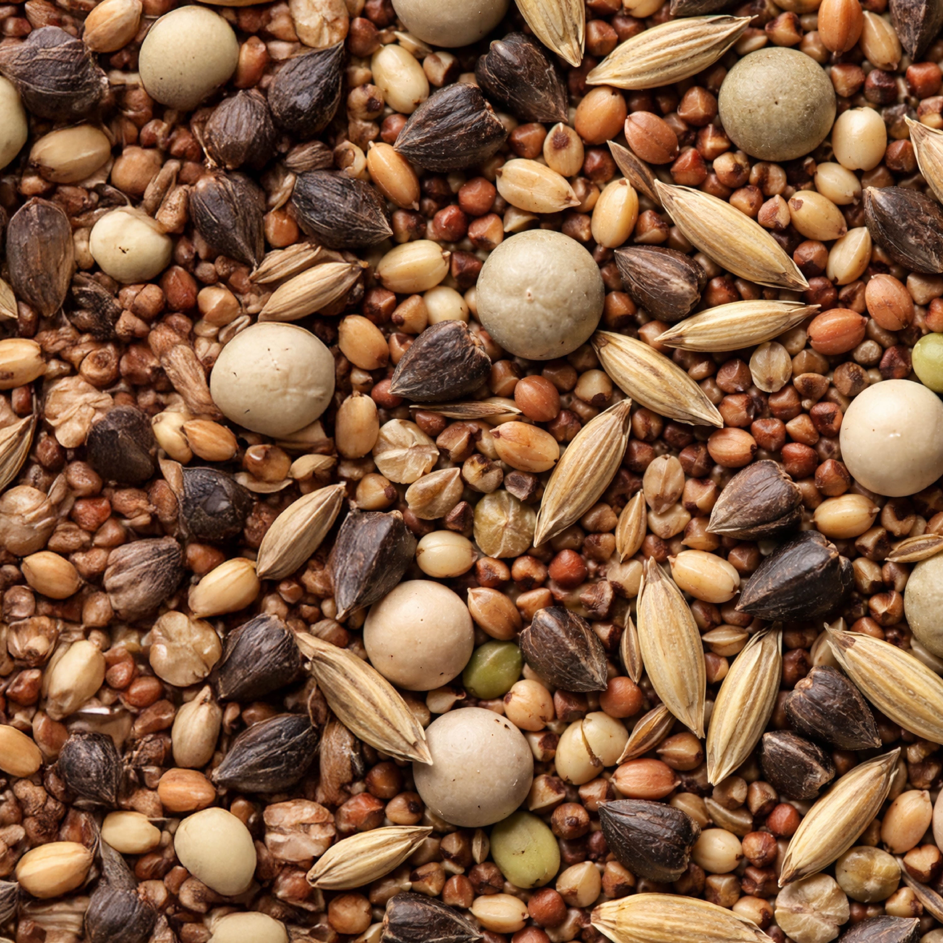Weed Suppressor Cover Crop Mix – 9 lb. - Covers 9000–12,000 sq ft (0.21–0.28 acres)