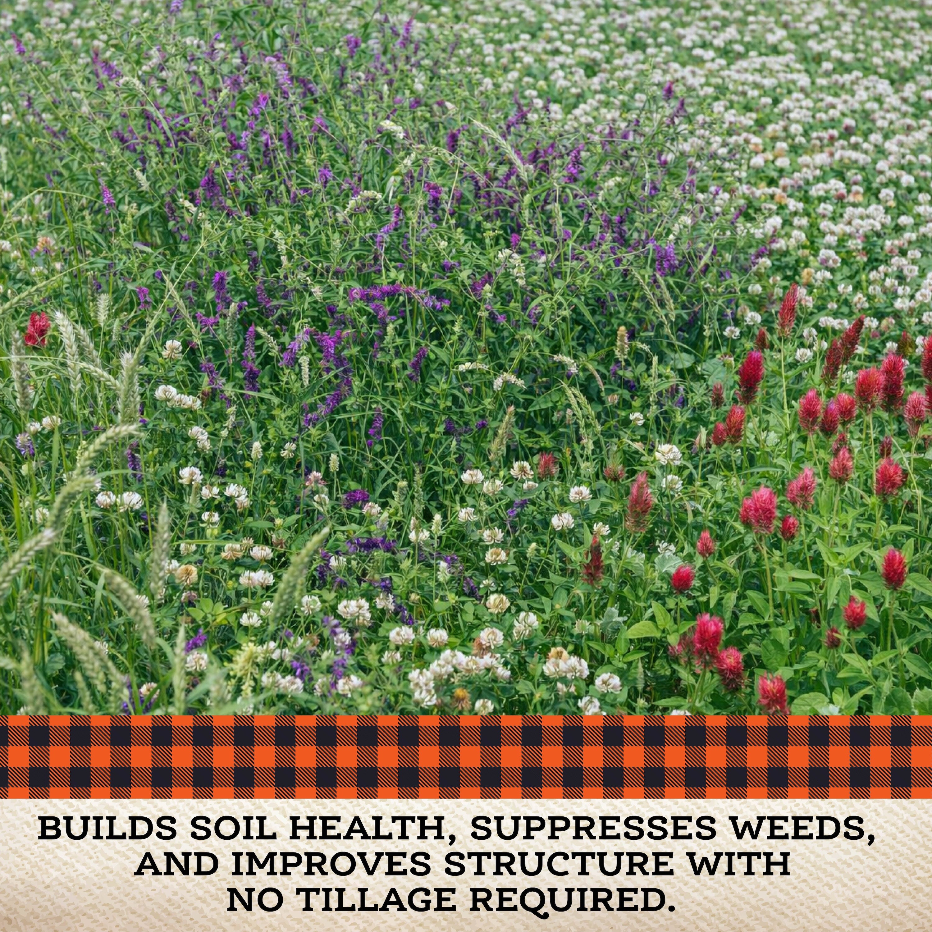 Colorful field of blooming no till cover crops with text about soil health benefits