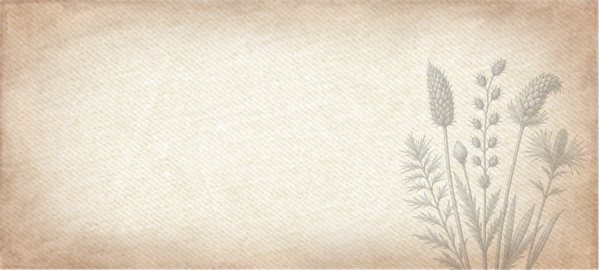 Hero banner with botanical illustration of tall grain plants on a beige parchment background for Scavenger Cover Crop Mix