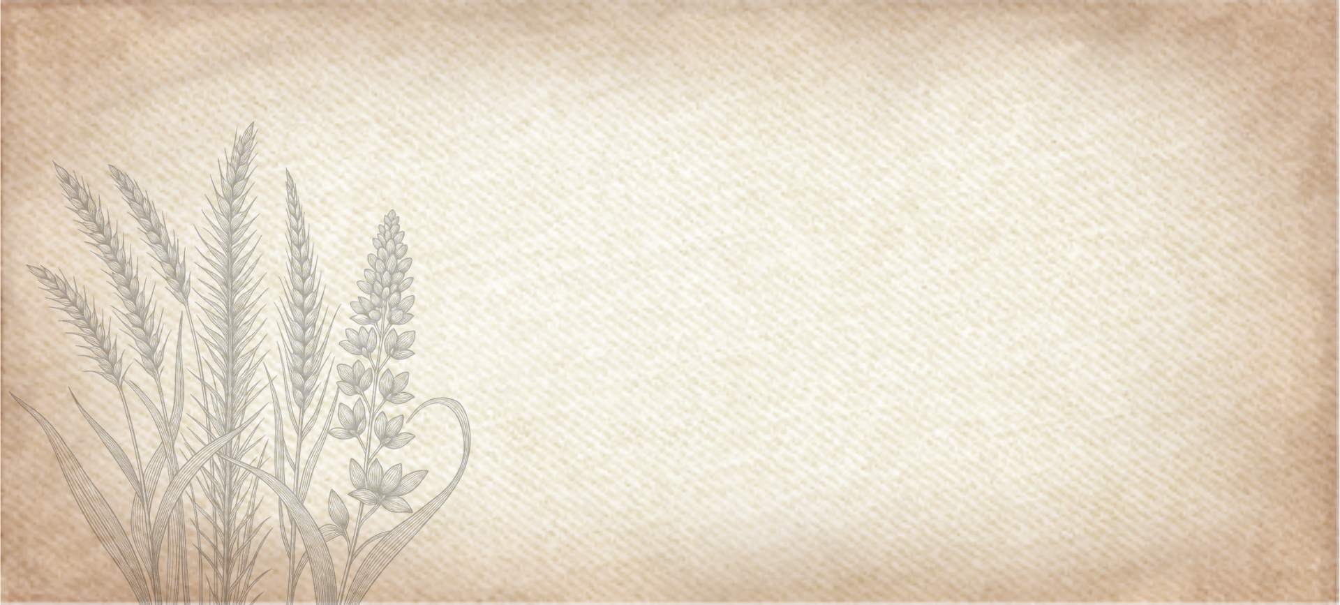 Hero banner with botanical illustration of grasses and wildflowers on a beige parchment background for Weed Suppressor Cover Crop Mix